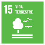 O segundo ícone é a ODS 15 "Vida Terrestre", representada por um ícone verde, com o desenho de uma árvore com duas linhas horizontais abaixo e dois pássaros voando ao lado.