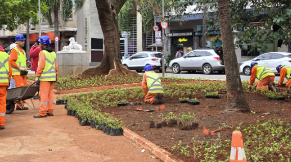  Uma foto mostra uma cena de jardinagem ou paisagismo em uma área urbana.  Vários trabalhadores (cerca de 6) vestindo uniformes de segurança cor laranja e coletes refletivos amarelo-limão estão trabalhando na terra, plantando pequenas mudas. A maioria usa capacetes de segurança azuis. Um trabalhador no centro está ajoelhado, plantando as mudas. À esquerda, outros trabalhadores estão de pé, um deles com um carrinho de mão.  A área de terra vermelha está delimitada por um piso de concreto ou calçada no canto inferior esquerdo. No fundo, há árvores e o trânsito de uma rua com carros brancos estacionados e em movimento. Placas de trânsito e fachadas de prédios também são visíveis ao fundo, sugerindo que a cena se passa em uma praça ou canteiro central movimentado da cidade.